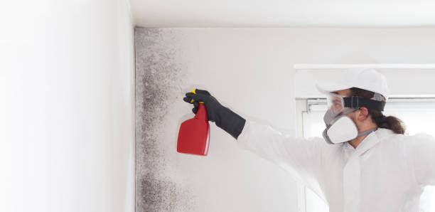 Attic Mold Removal in Buxton, NC