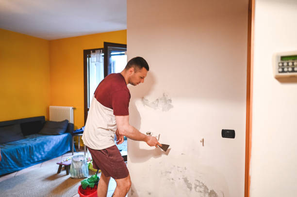 Best Local Mold Removal Service  in Buxton, NC